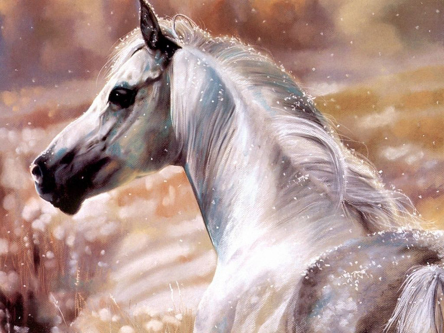 Белая лошадь - лошадь - оригинал