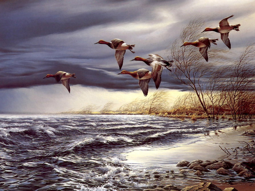 Серия : Птицы - пейзаж, птицы - оригинал