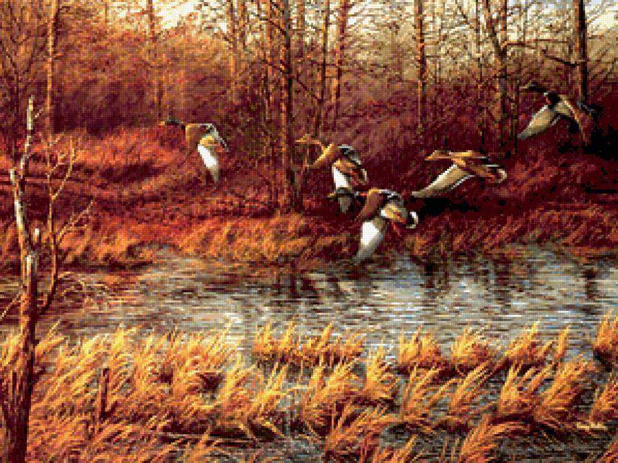 Серия : Птицы - пейзаж, утки - предпросмотр