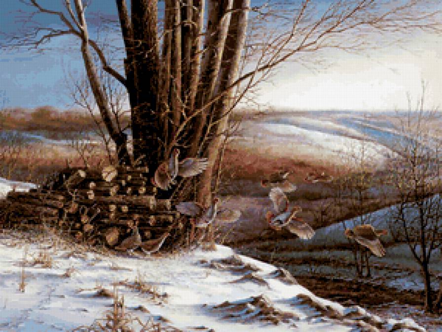 Серия : Птицы - птички - предпросмотр