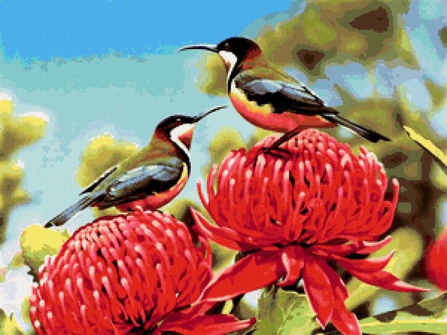 Серия : Птицы - колибри, птицы - предпросмотр