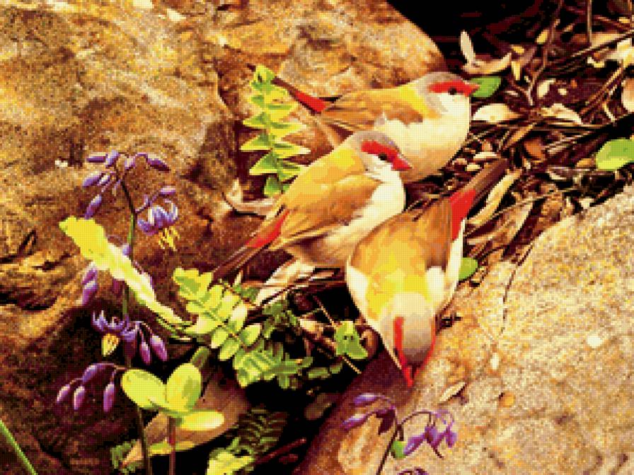 Серия : Птицы - птички - предпросмотр