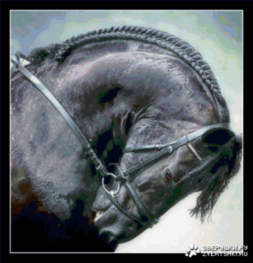 Вороной - лошадь - предпросмотр