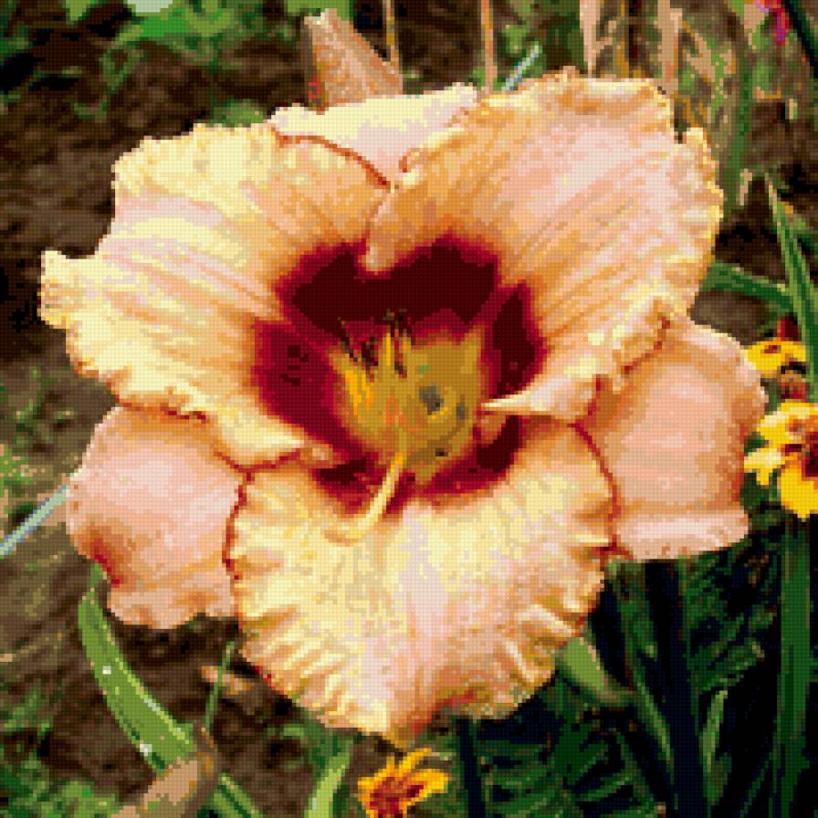 Лилейник "Awesome Blossom" - подушка, цветы - предпросмотр