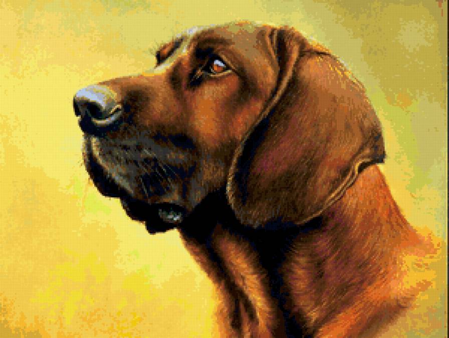 Серия : Собаки - предпросмотр