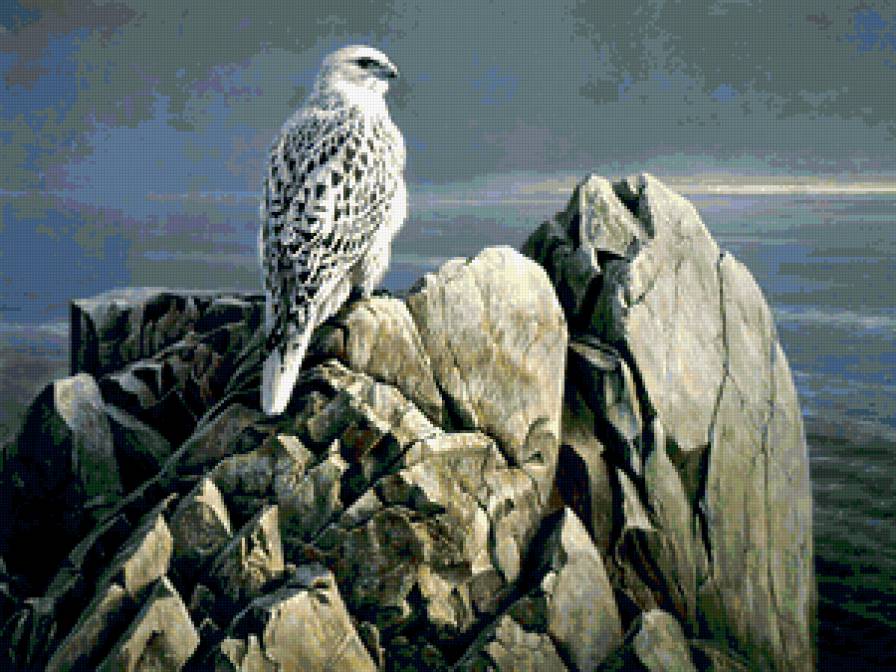 Серия : Птицы - предпросмотр