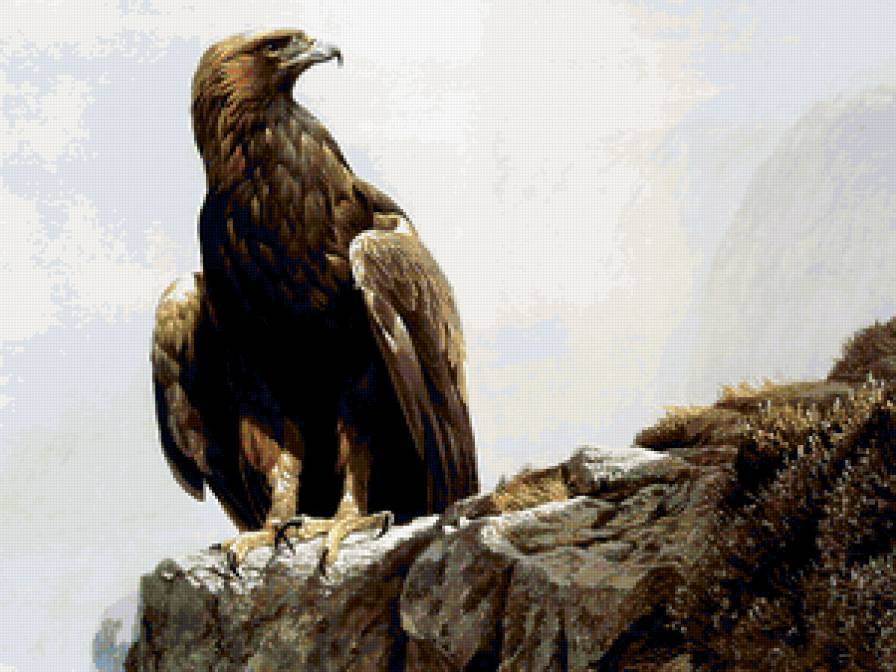 Серия : Птицы - предпросмотр