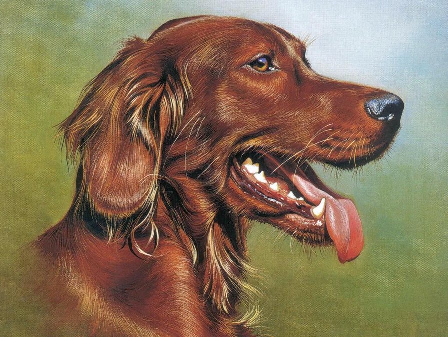 Серия : Собаки - оригинал