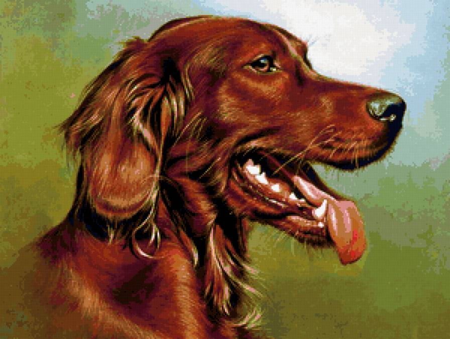 Серия : Собаки - предпросмотр