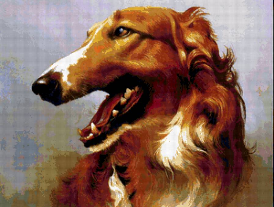 Серия : Собаки - предпросмотр