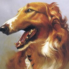 Схема вышивки «Серия : Собаки»