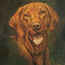 Схема вышивки «Серия : Собаки»