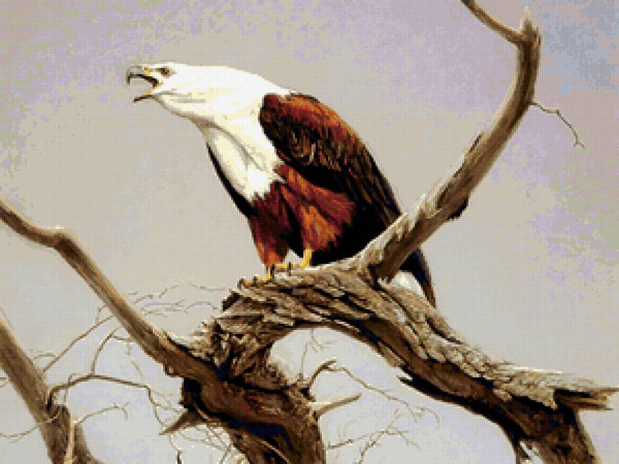 Серия : Птицы - предпросмотр