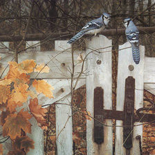 Схема вышивки «Серия : Птицы»