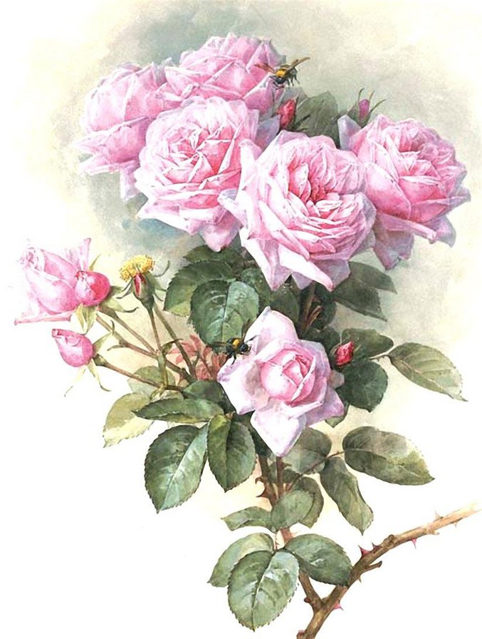 Прекрасные розы от Лонгре 3 - живопись, натюрморт, розы, лонгре, картина, цветы - оригинал