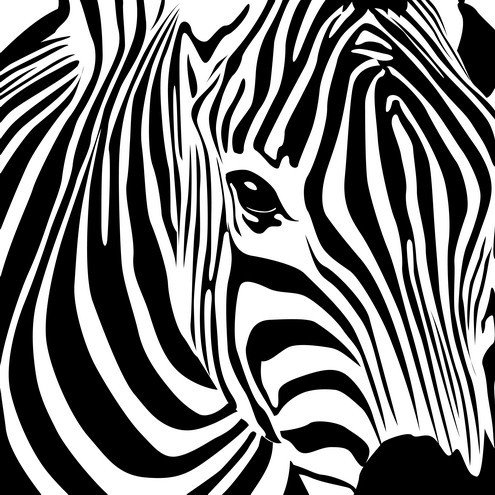 Зебра - черно-белая, минимализм, зебра - оригинал