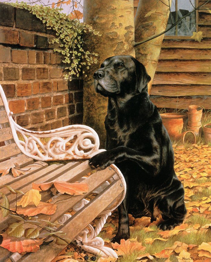 верность - лабрадор, собаки - оригинал