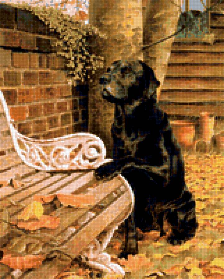 верность - лабрадор, собаки - предпросмотр