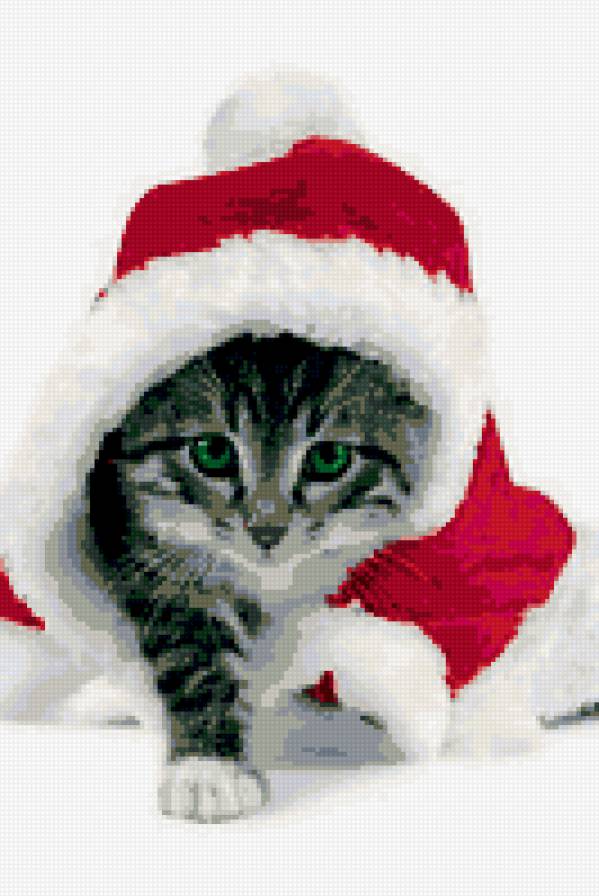 котя - новый год, котенок - предпросмотр