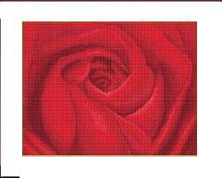 роза макс - оригинал