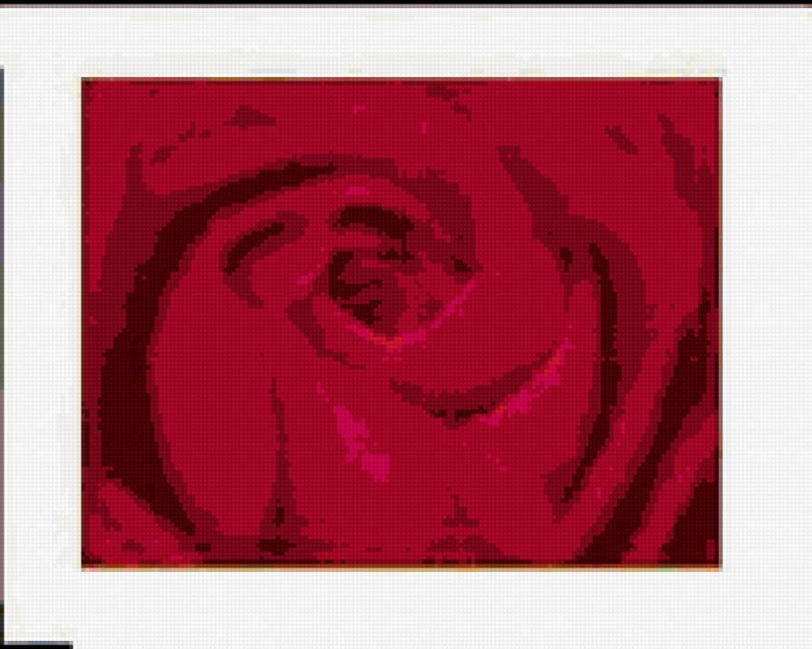 роза макс - предпросмотр