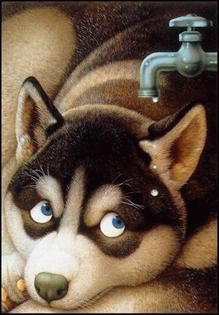 №179333 - собаки - оригинал