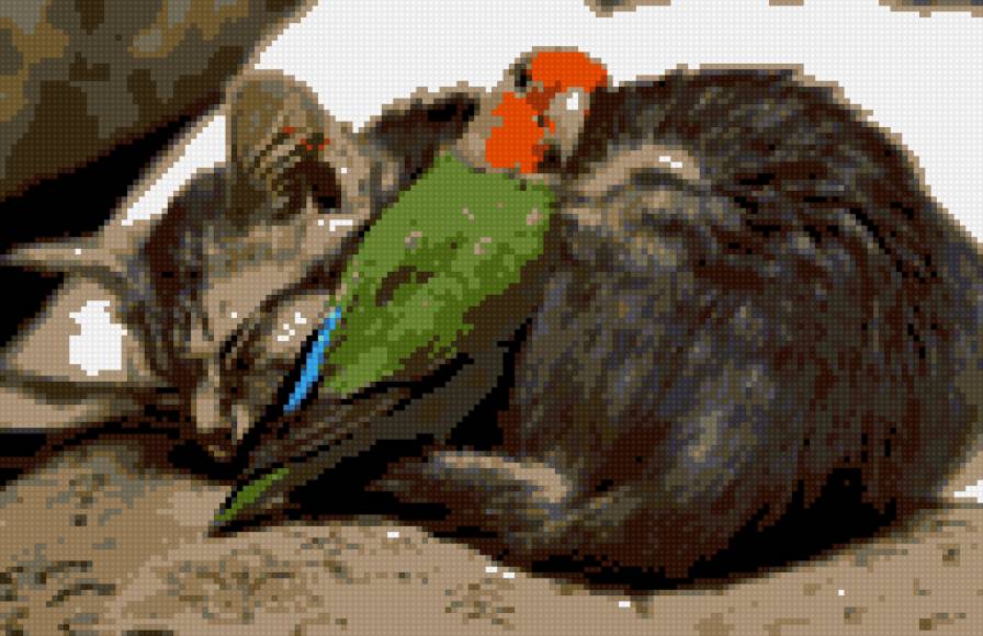 Дружба - кошка, животные, дружба, попугайчик - предпросмотр