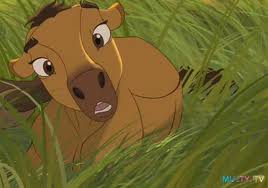 спирит - оригинал