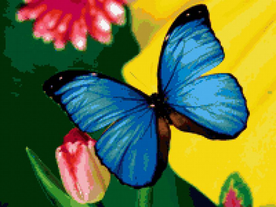 синяя бабочка - предпросмотр
