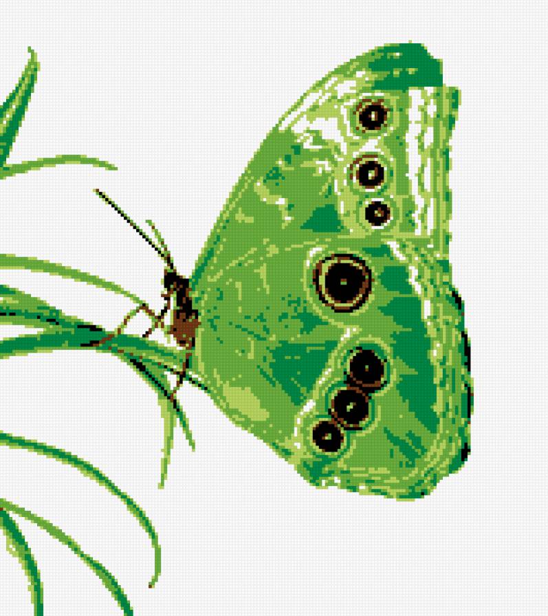 зеленая бабочка - предпросмотр