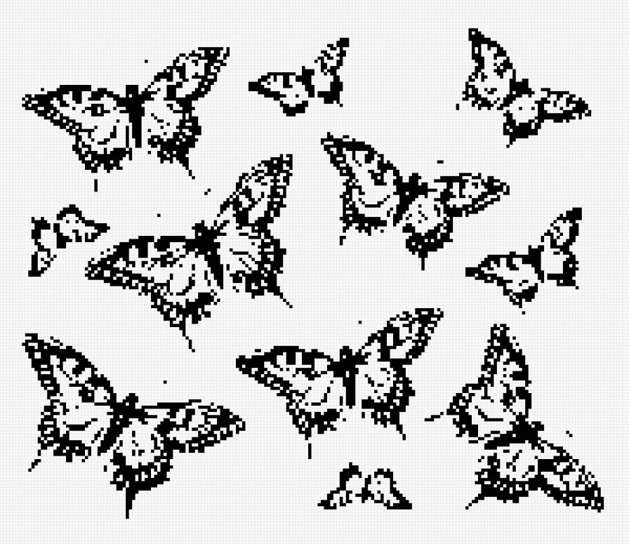 ч/б бабочки ассорти - предпросмотр