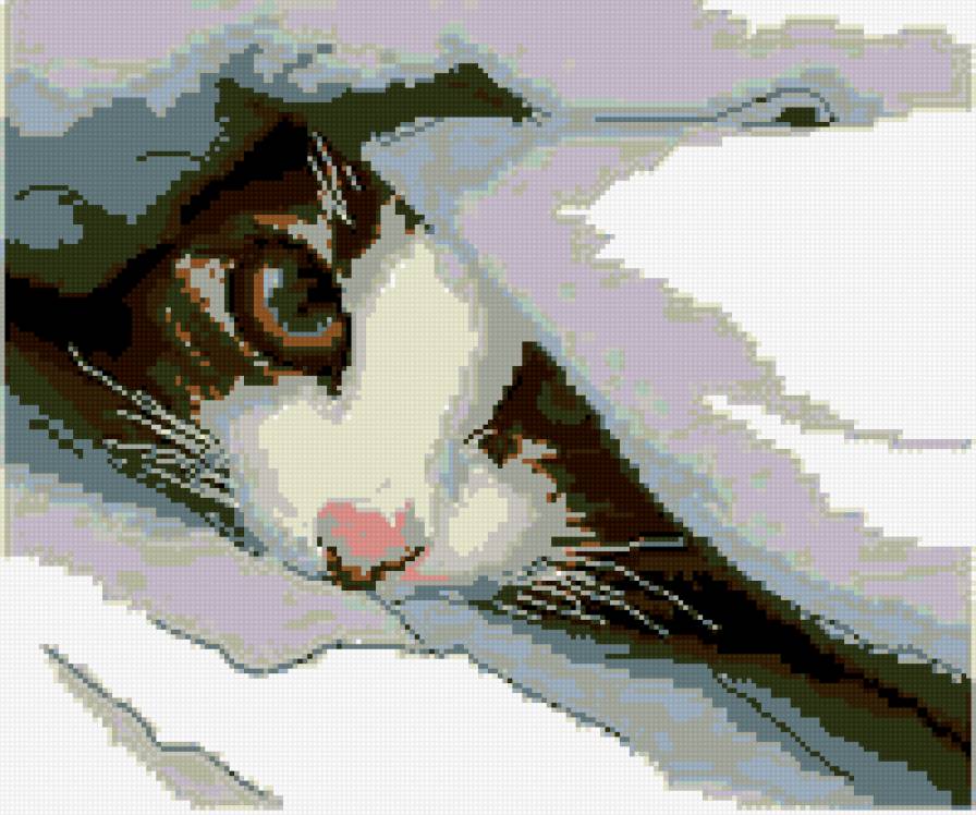 Котенок под одеялом - предпросмотр