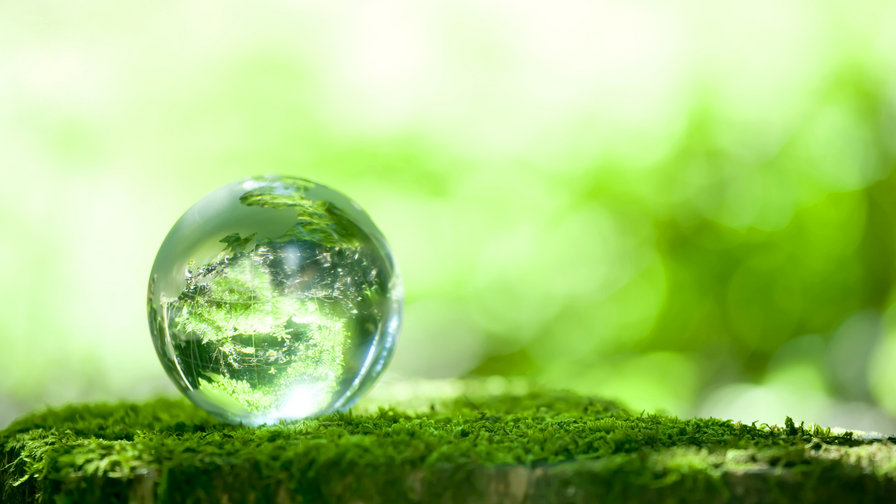 Макро - оригинал