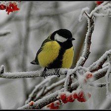 Схема вышивки «Зимняя сказка»