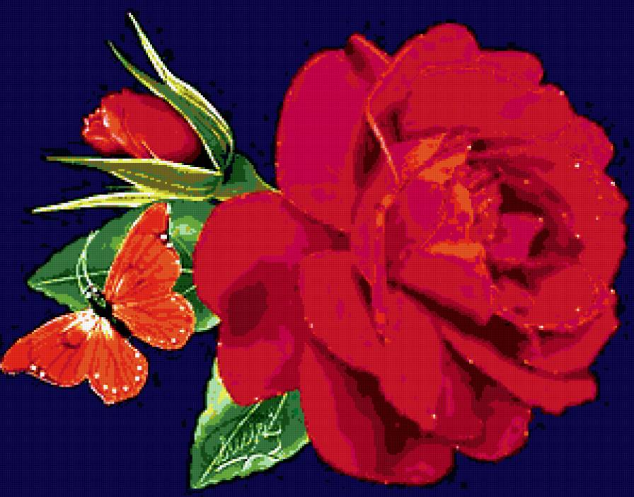 №179565 - цветы, бабочка, роза - предпросмотр