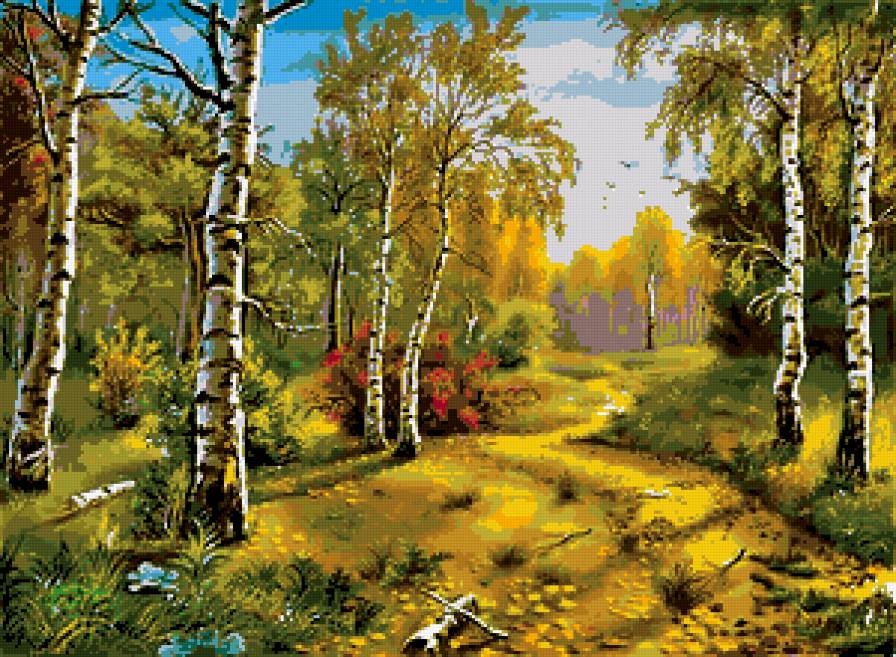 осень - березки, лес, пейзаж - предпросмотр