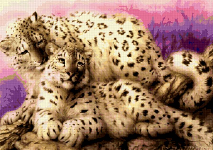 леопарды - животные, хищники, леопард, любовь, кошки - предпросмотр