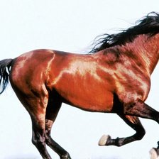 Схема вышивки «№179728»