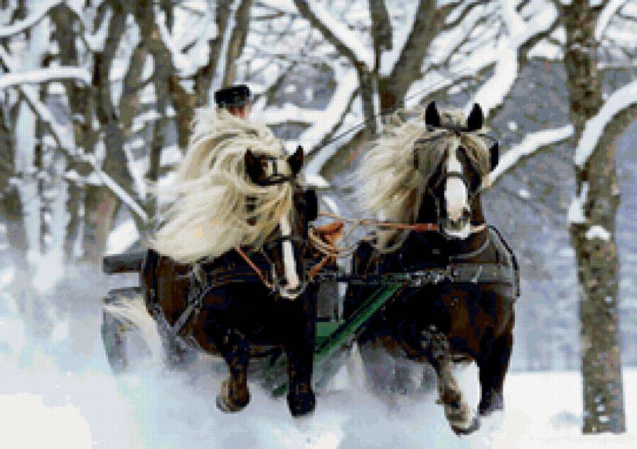 лошади - лошади, карета, экипаж, упряжка, коляска, кареты - предпросмотр