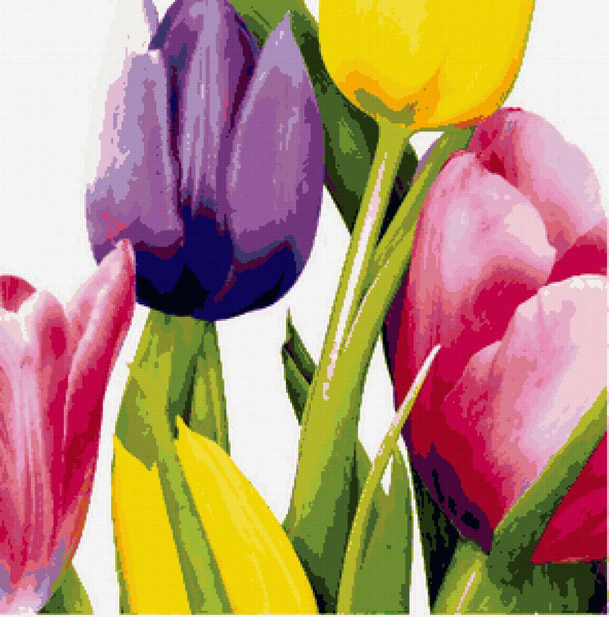 Тюльпаны - подушки, подушка, тюльпаны, весенние цветы - предпросмотр