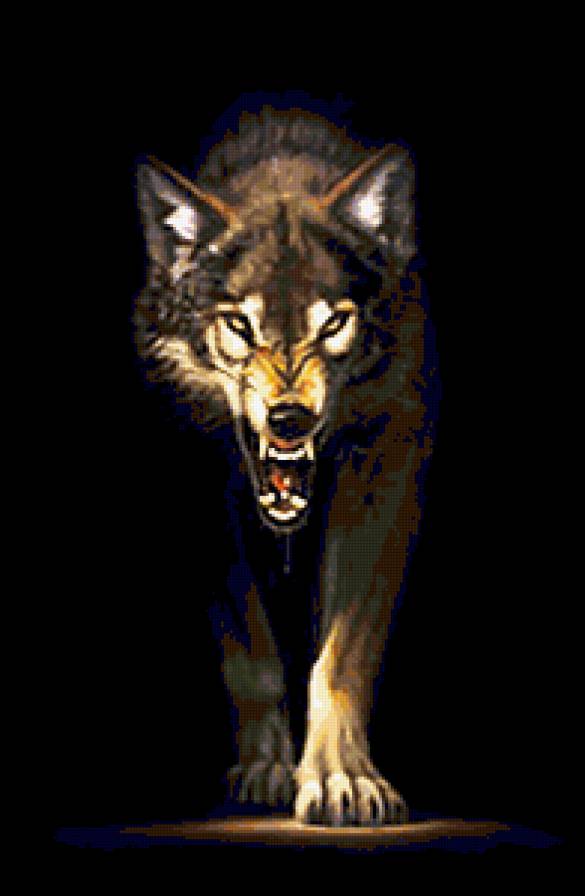 злой волк - волки, животные - предпросмотр