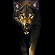 Схема вышивки «злой волк»