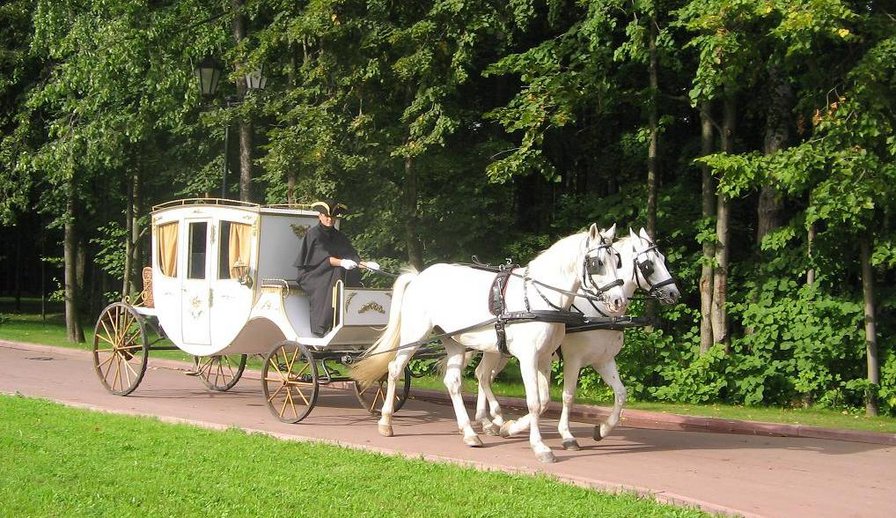 карета - среднев, карета, белая, упряжка, лошади, коляска, кареты, экипаж - оригинал