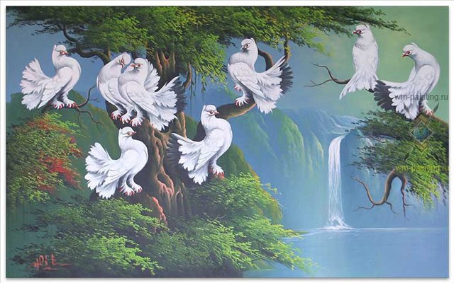 голуби - пейзаж, голуби, водопад - оригинал