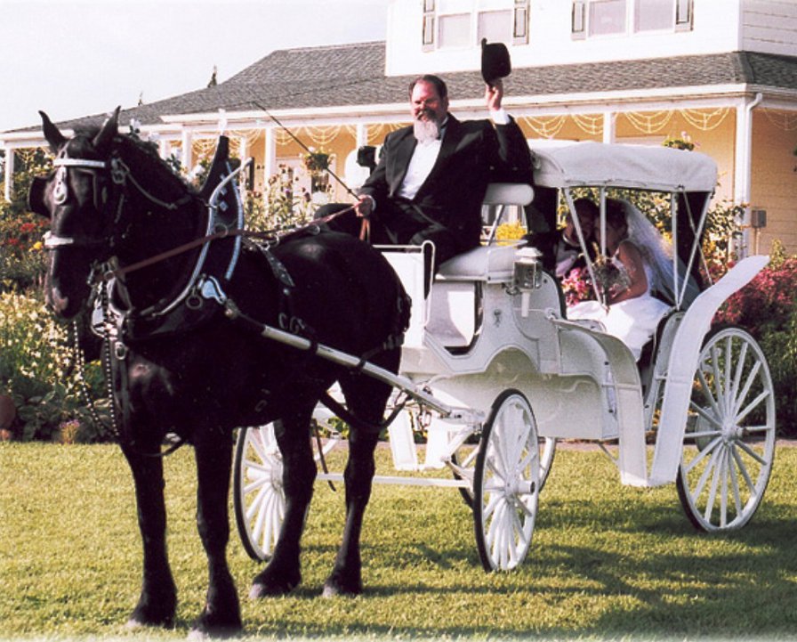 №179889 - коляска, лошади, упряжка, экипаж, свадьба, карета - оригинал