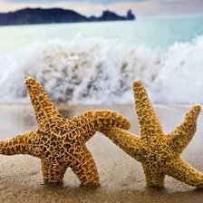 Схема вышивки «две звезды»