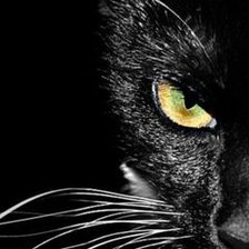 Схема вышивки «черная кошка»