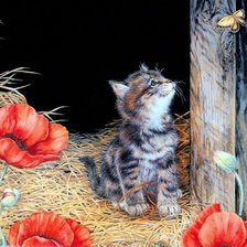 Схема вышивки «котенок»