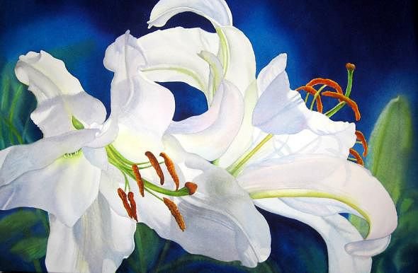 цветочные акварели. лилии - оригинал