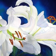 Схема вышивки «цветочные акварели. лилии»